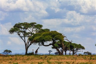 Guinea-Bissau