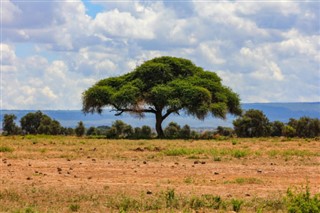 Gine-Bissau