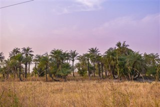 Guiné-Bissau