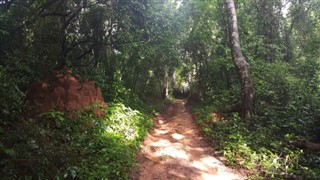 Guinée-Bissau