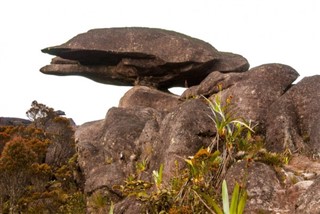 Guiana