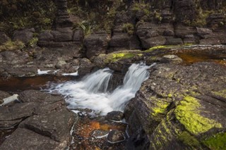 Guayana