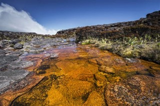 Guayana