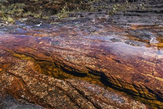 Guayana