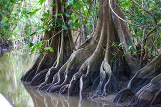 Guiana