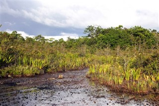 Guyane