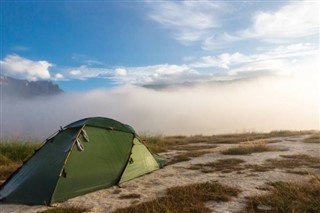 গায়ানা