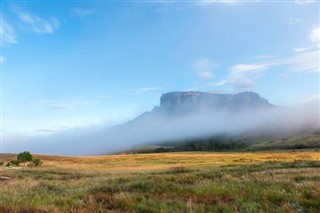 Guayana