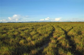 Guayana