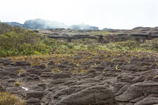 Guayana