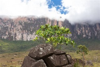 Guyane