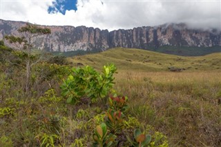 Guayana