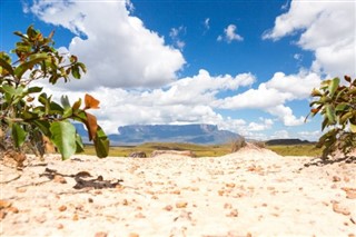 Guayana