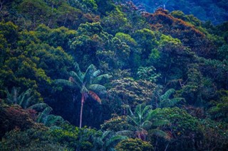 Honduras