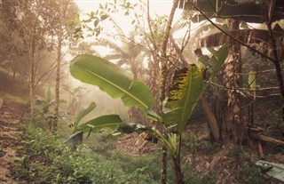 Honduras