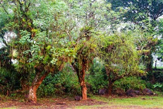 Honduras