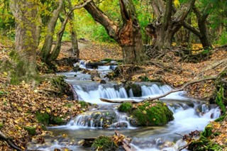 ஹங்கேரி