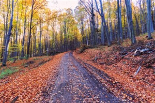 Madžarska