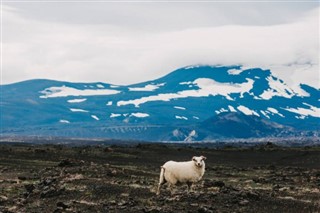 Islandia