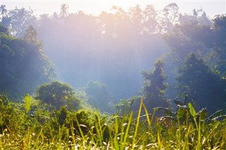 ইন্দোনেশিয়া