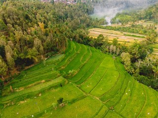 Indonezia