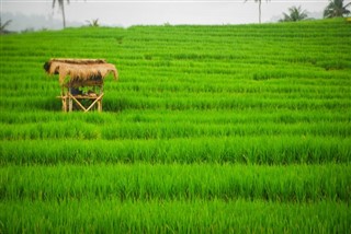 Indonesië