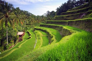 Indonesia