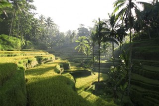 Indonēzija