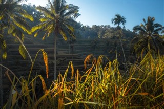 Indonesien