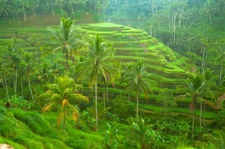 ইন্দোনেশিয়া