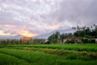 ইন্দোনেশিয়া