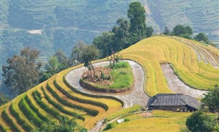 ইন্দোনেশিয়া