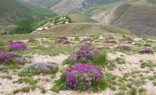 ایران