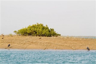 Ιράν