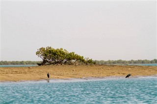 إيران