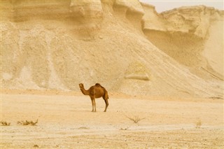 イラン