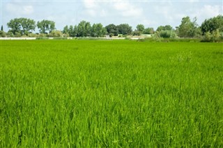 ஈரான்