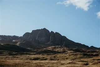 insula