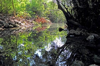 ইস্রায়েল