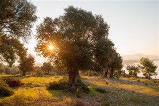 Ισραήλ