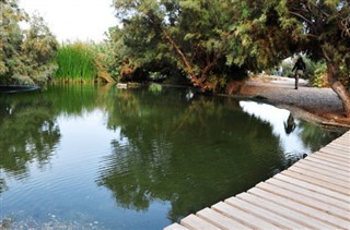 Izraelis