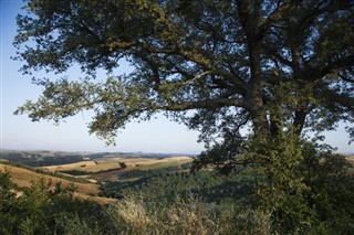 イタリア