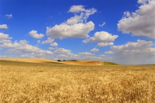 イタリア