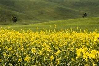 Italië