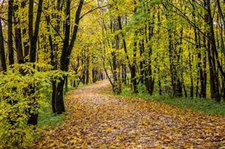Јамајка