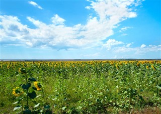 ஜமைக்கா