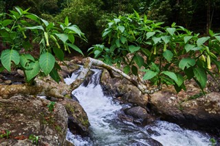 জ্যামাইকা