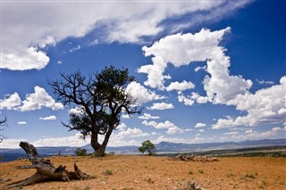 ஜமைக்கா