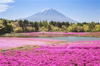 日本