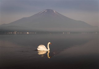 Japonsko